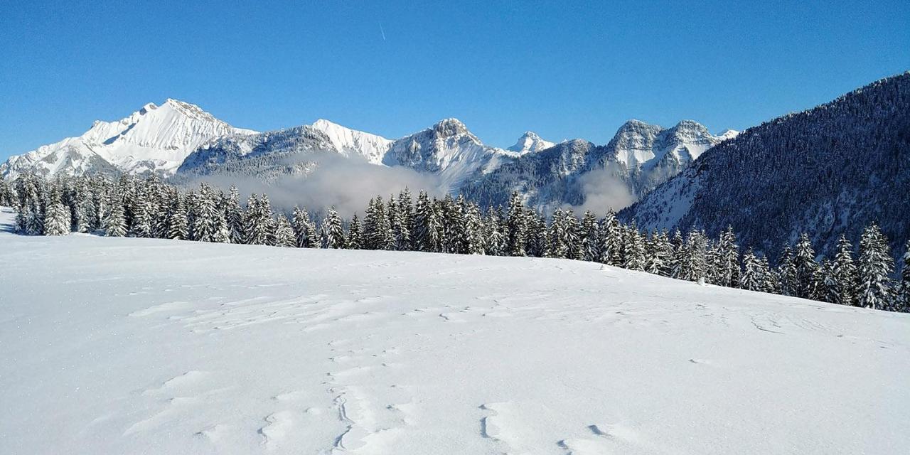 Gite Les Lanfiannes Thorens-Glières Zewnętrze zdjęcie
