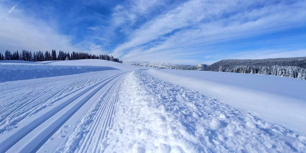 Gite Les Lanfiannes Thorens-Glières Zewnętrze zdjęcie