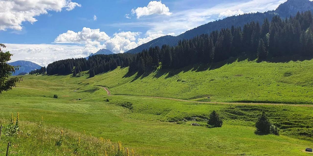 Gite Les Lanfiannes Thorens-Glières Zewnętrze zdjęcie