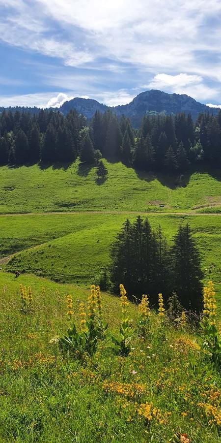 Gite Les Lanfiannes Thorens-Glières Zewnętrze zdjęcie